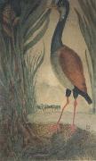 Henri Rousseau Wader oil painting on canvas